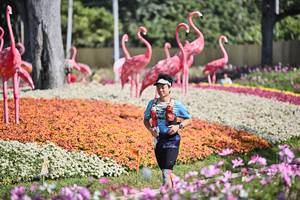 BIB: 
                            <button type="button" onclick="openModal(27793561)" class="btn btn-primary btn-sm float-right btn-popup" data-toggle="modal" data-target=".modal-high-quality">
                        <i class="fas fa-shopping-cart"></i> Add to Cart
                    </button>
                                            <button type="button" onclick="isThisMe(27793561, true)" class="btn btn-success btn-sm float-right btn-popup btn-isme hidden" data-toggle="tooltip" data-placement="bottom" title="นี่คือรูปของคุณใช่ไหม คลิกที่นี่เพื่อเอาเข้าอัลบั้ม">
                        <i class="fas fa-plus"></i> Add to album
                    </button>
                    <button type="button" onclick="isThisMe(27793561, false)" class="btn btn-warning btn-sm float-right btn-popup btn-isnotme hidden">
                        <i class="fas fa-ban"></i> Remove from album
                    </button>